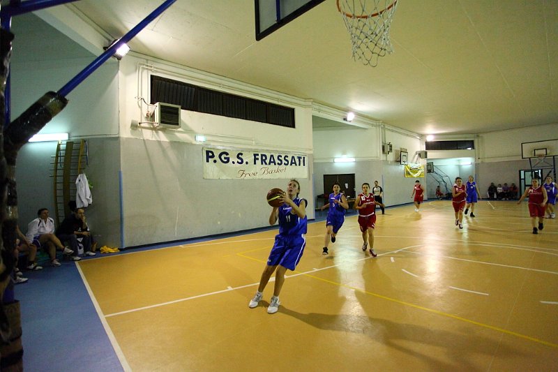 Basket 443044